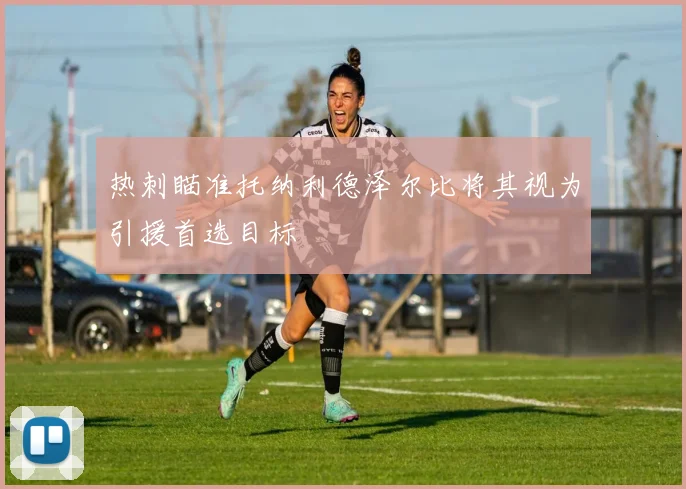 热刺瞄准托纳利德泽尔比将其视为引援首选目标