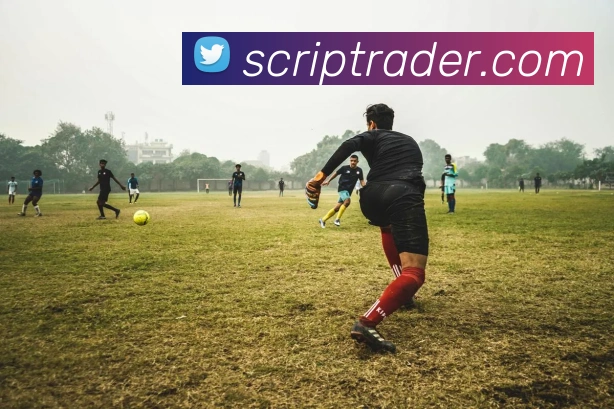 登录器